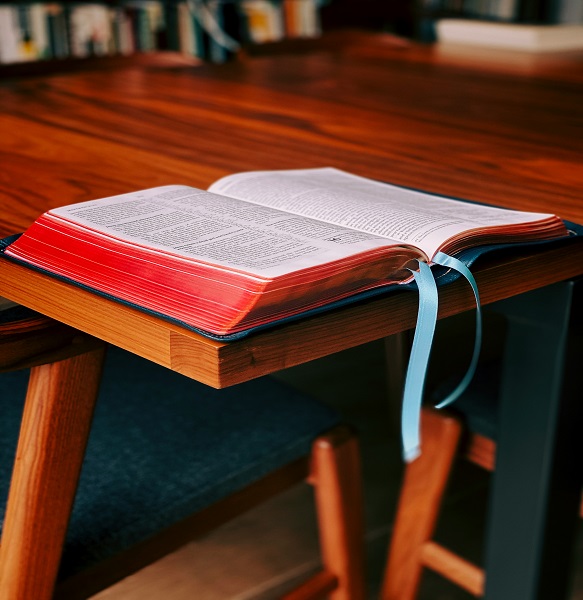 theblossomvoice guided by god’s word