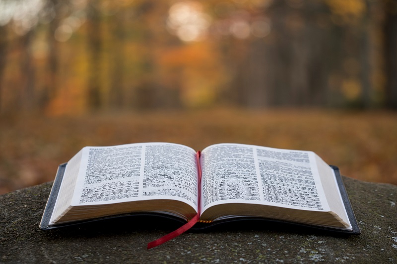 care support church theblossomvoice